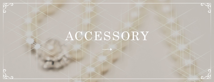ACCESSORY